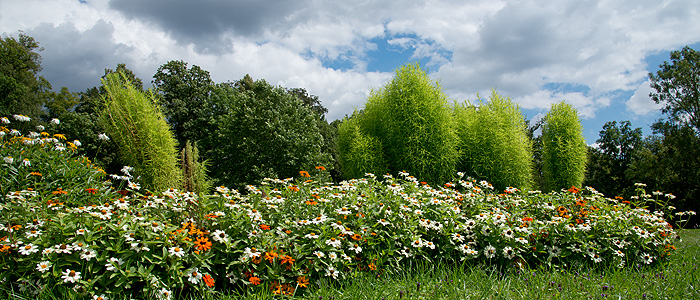 Bild: Park Rosenau