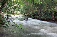 Link zu den Wasserfällen der Itz 